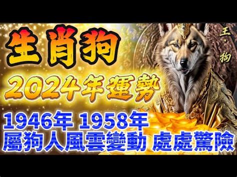 木狗是什麼|屬狗的五行屬什麼 揭秘「不同屬性」的屬狗人性格